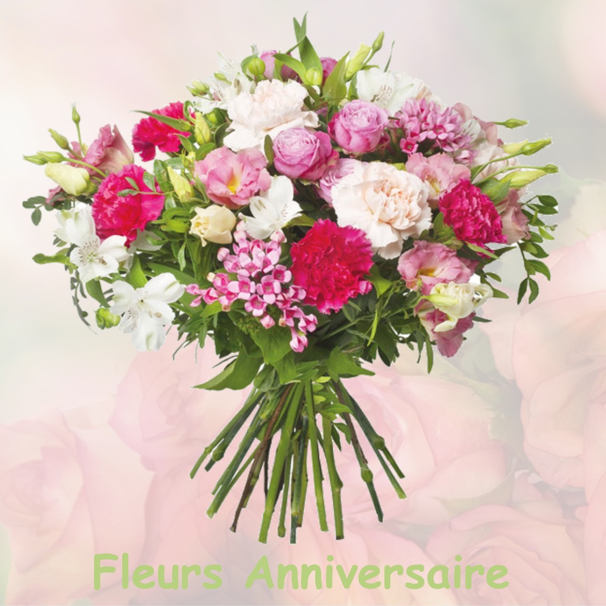 fleurs anniversaire NOLLIEUX